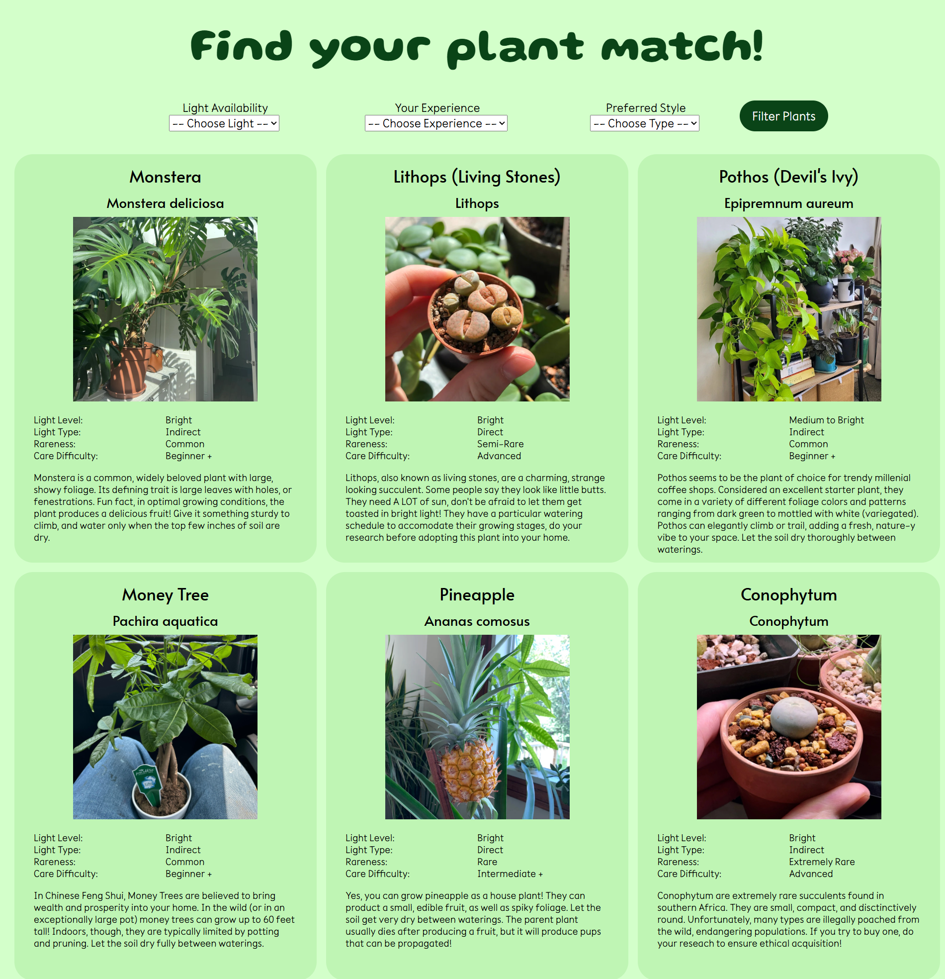 screenshot of light4plants website, with tiles for each plant with an image, attributes, and a description.